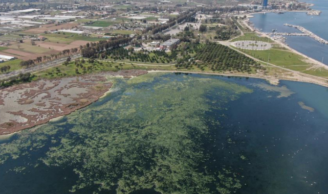 İzmir Yeşile Boyandı