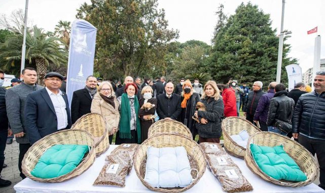 İzmir&#039;de sahipsiz sokak köpekleri için rehabilitasyon hizmeti başladı