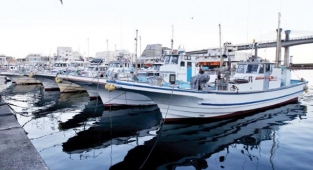 İzmirli Balığa Hasret