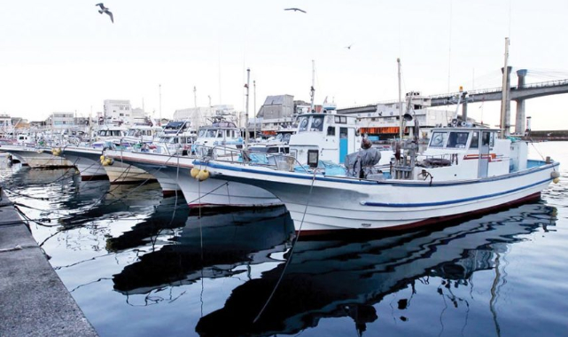 İzmirli Balığa Hasret