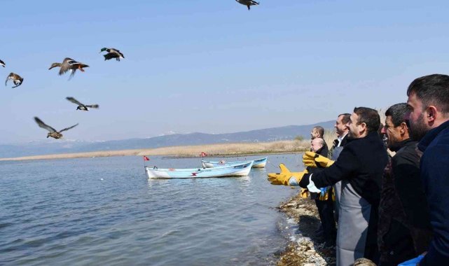 İznik Gölü'nde kaçak avcılardan kurtarılan 56 ördek artık özgür