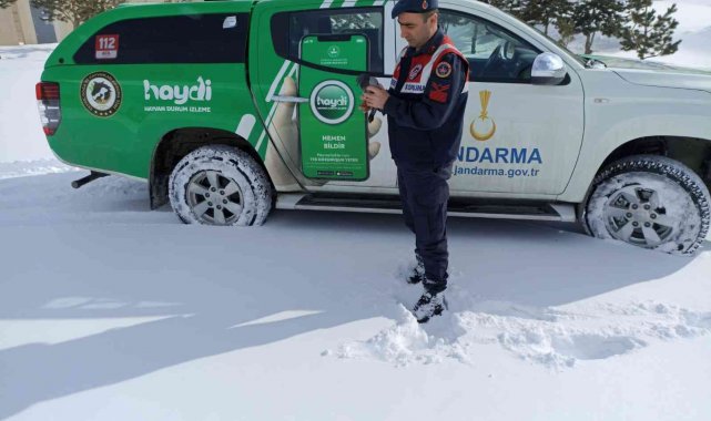 Jandarma yaban hayatı unutmadı