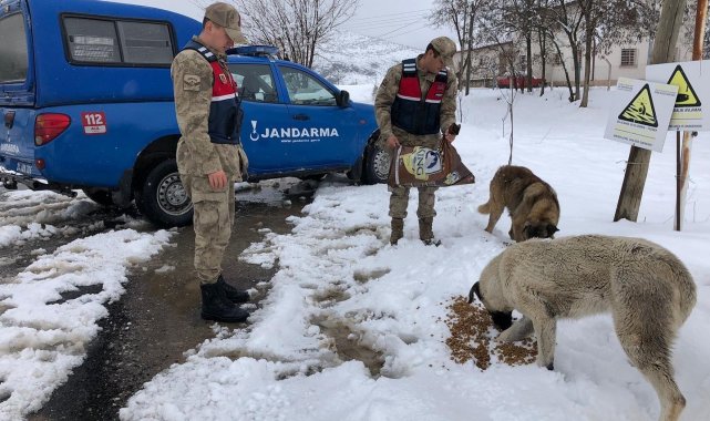 Jandarmadan can dostlara mama desteği