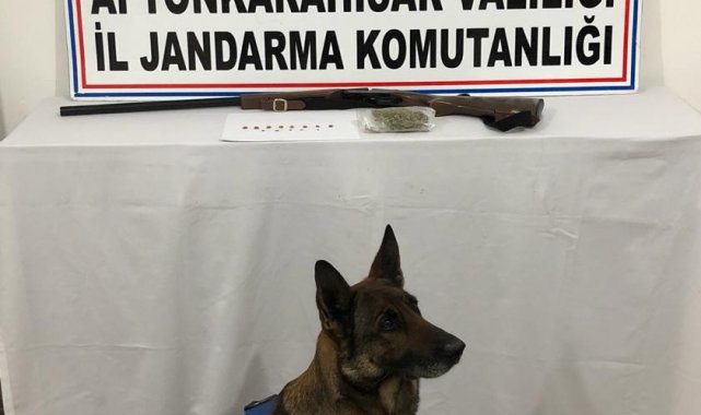 Jandarmanın operasyonunda uyuşturucu madde ve tarihi eser ele geçirildi