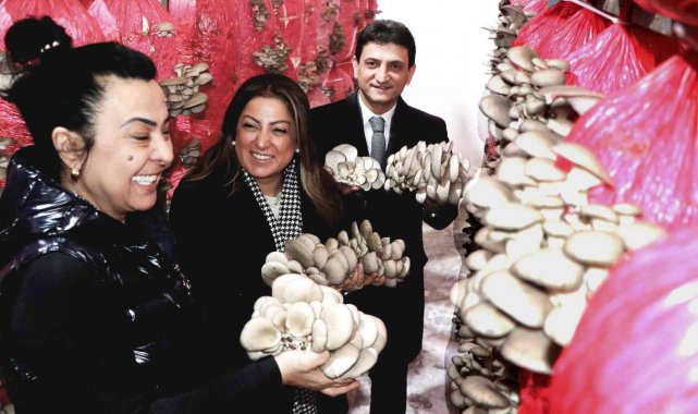 Kadın girişimci yılda 150 ton mantar üretiyor