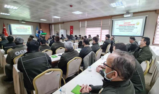 Kanun dışı müdahaleler ormanların tahribine yol açıyor