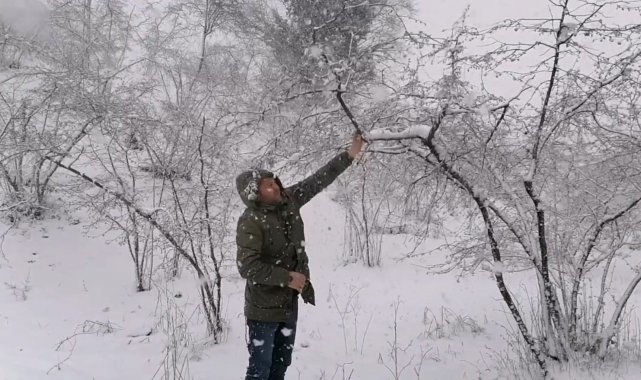 Kar yağışı fındık fiyatlarını yükseltti