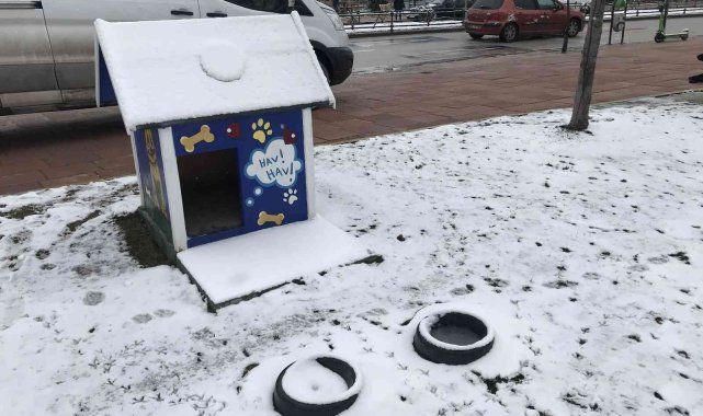 Kar yağışı onları da çok etkiledi