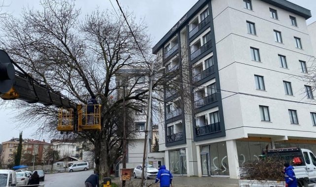 Kar yağışından etkilenen ağaçlara Kartal Belediyesi ekiplerinden anında müdahale
