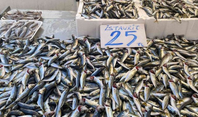 Karadenizli balıkçılar sezondan umduğunu bulamadı