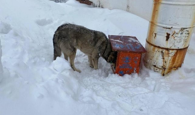 Karda kışta unutulmadılar