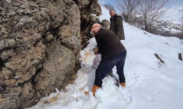 Karlıova kırsalına 550 kilo yem bırakıldı