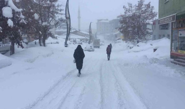 Karlıova'da kar çilesi bitmiyor