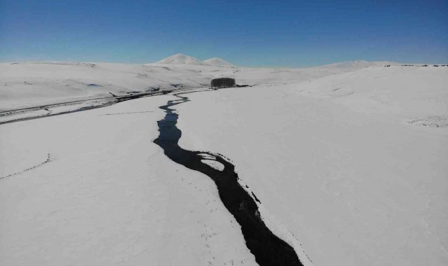 Kars'ta kar altındaki menderesler büyülüyor