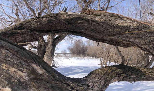 Kars'ta kartpostallık kış manzarası