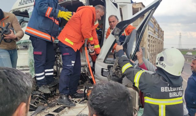 Karton gibi katlanan TIR'dan şoför yaralı kurtuldu