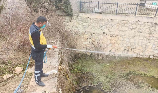 Kastamonu'da haşere ile mücadele çalışmalarını sürdürüyor