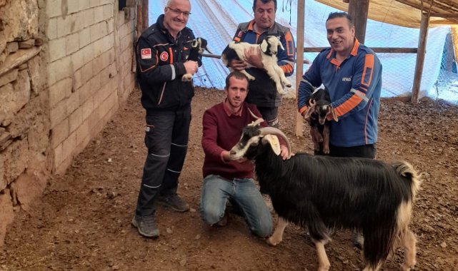 Kayalıklarda mahsur kalan keçi kurtarıldı