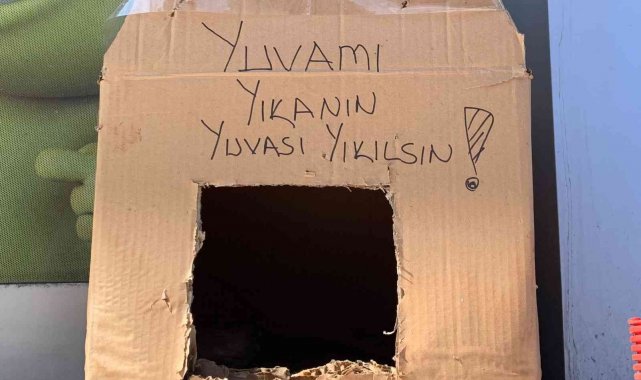 Kedi yuvasını tekrar yıkmasınlar diye bu çözümü buldular