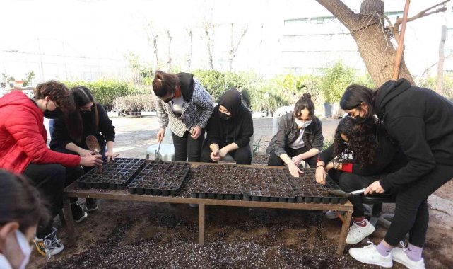 Kepez'de Ata tohumları fidana dönüşüyor