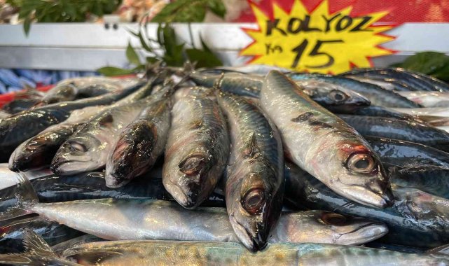 Kilosu 15 lira, kapış kapış satılıyor