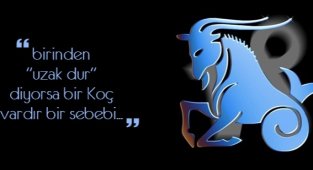 Koç Burcu Özellikleri Nelerdir ? Hangi Burçlarla Anlaşabilir ?