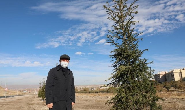 Kocasinan&#039;da hedef yine 100 bin ağaç dikmek