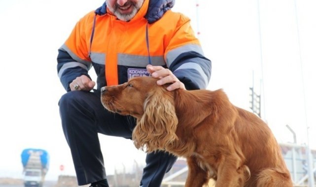 Kocasinan&#039;dan yoğun kar yağışında sokak hayvanları için yemleme çalışması