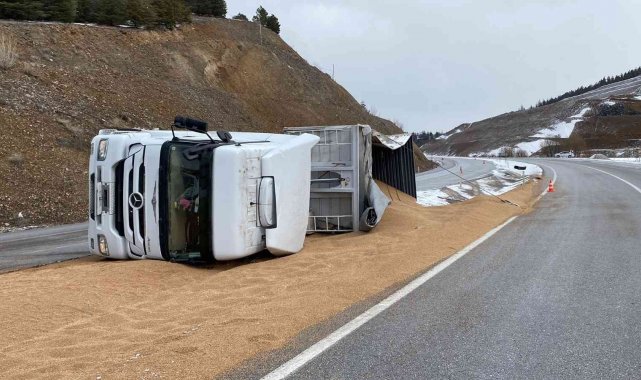 Kontrolden çıkan tır devrildi, 25 ton buğday yola saçıldı