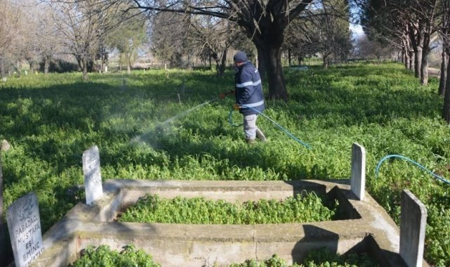 Köşk Belediyesi, yabani otla mücadeleye başladı