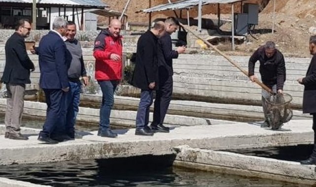 Köyceğiz&#039;de alabalık ve çilek üretim alanlarında incelemelerde bulunuldu