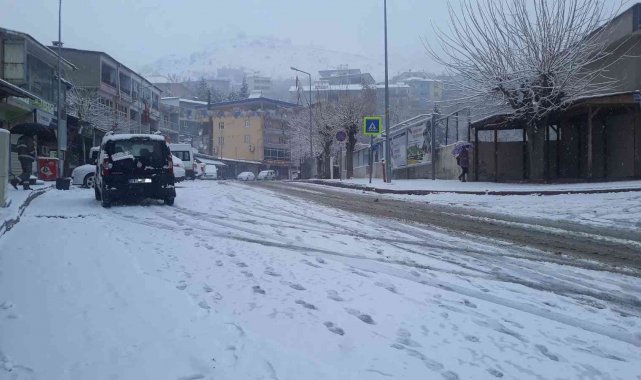 Kulp'ta kar yağışı başladı, okullar tatil edildi