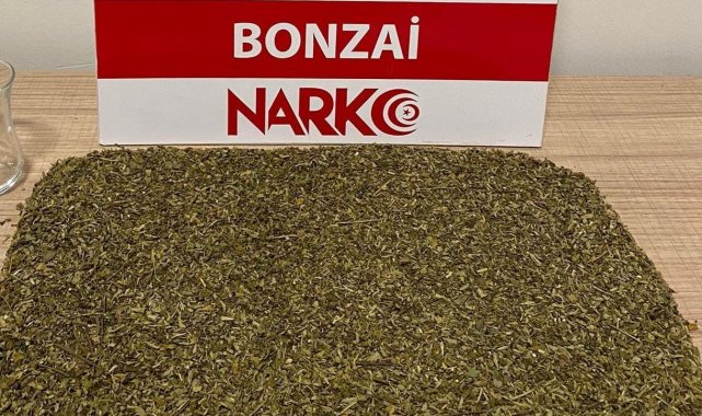 Kütahya'daki uyuşturucu operasyonuna 1 tutuklama