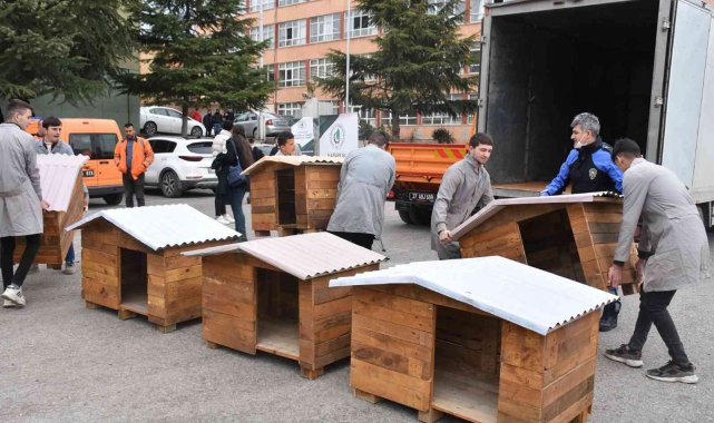 Lise öğrenciler can dostları için atıl ürünlerden köpek kulübeleri yaptı