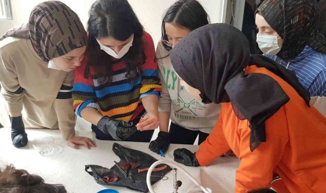 Lise öğrencileri kaz kalbi üzerinde deney yaptılar