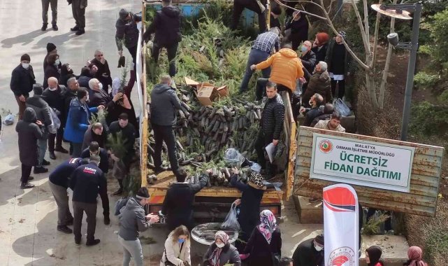Malatya'da ücretsiz fidan