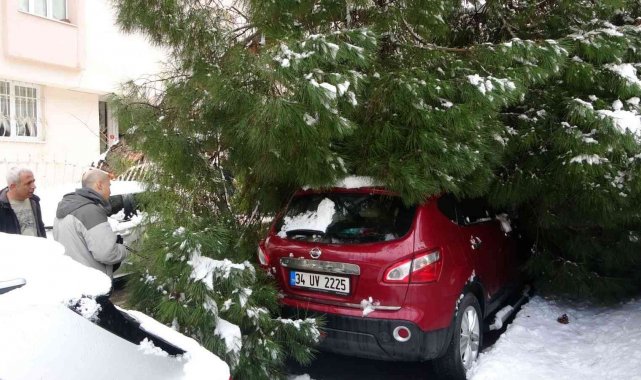 Maltepe'de yoğun kara dayanamayan ağaç, park halindeki 2 aracın üstüne devrildi