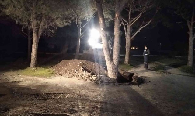 Manisa Büyükşehir'den Akhisar'da ağaç duyarlılığı