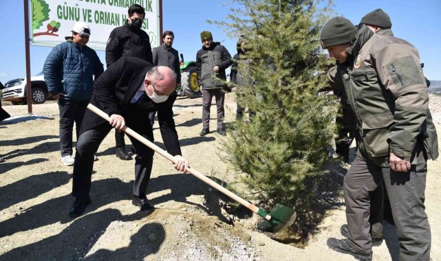 Manisa'da 7 bin fidan toprakla buluştu