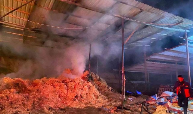 Manisa'da besi çiftliğinde yangın