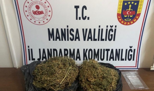 Manisa&#039;da uyuşturucu operasyonu: 1 gözaltı