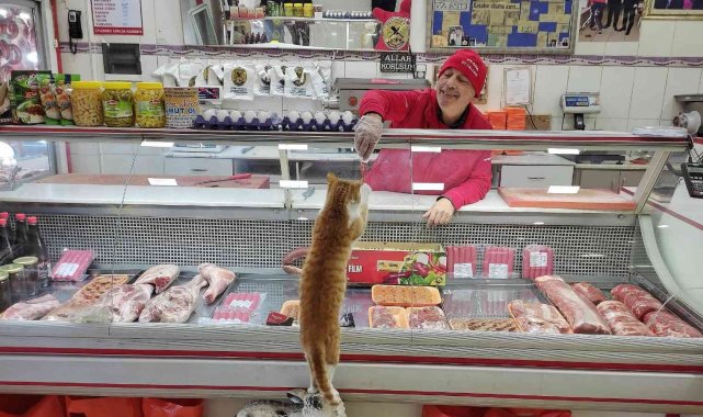 Manisalı fenomen kasap animasyon filmi oldu