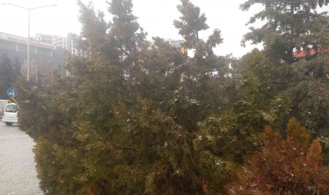 Mardin'de dolu yağışı etkili oldu