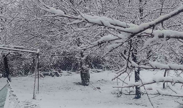 Mart ayında Elazığ'a lapa lapa kar yağdı