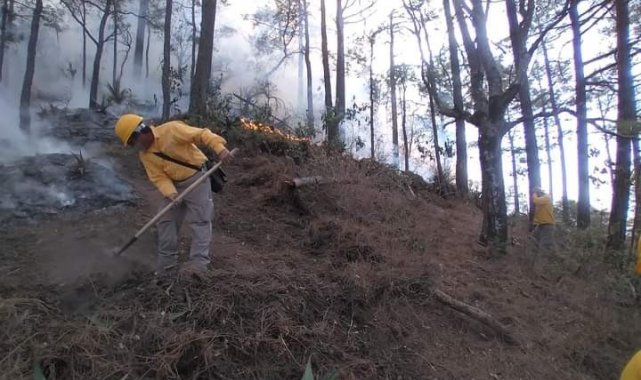 Meksika'da orman yangınlarıyla mücadele devam ediyor