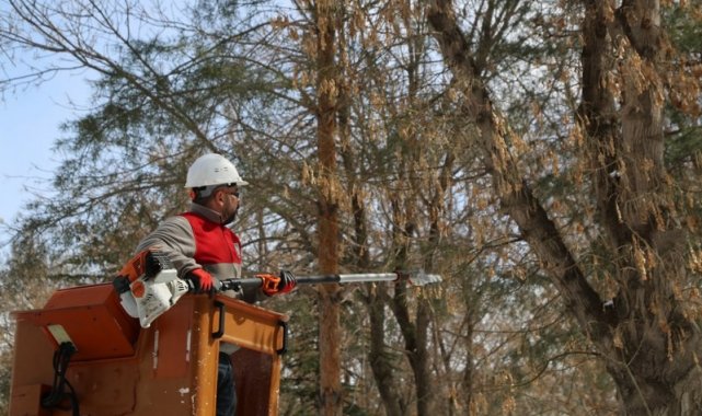 Melikgazi&#039;de ağaçlar daha uzun ömürlü olması için budanıyor