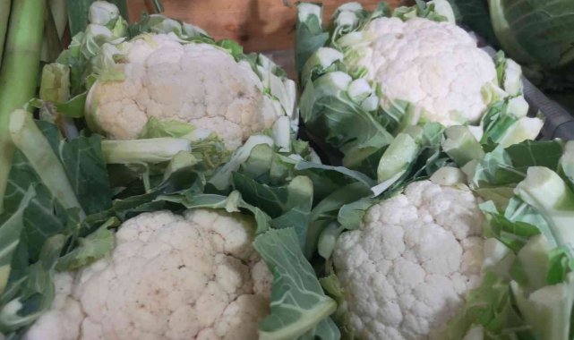 Mersin ve Adana'nın şubat ayı enflasyonu genel enflasyonu aştı: Yüzde 56,67