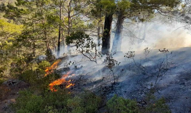 Mersin&#039;de orman yangını, büyümeden kontrol altına alındı