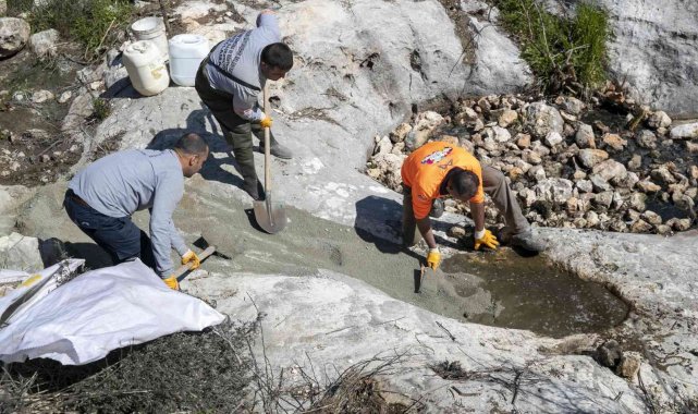 Mersin'de sinek ve haşereyle mücadele çalışmaları sürüyor