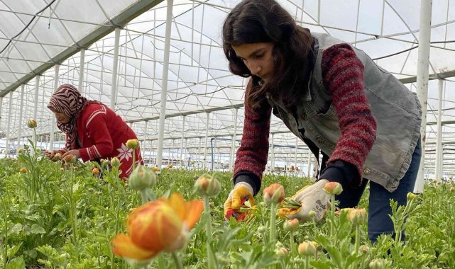 Meslek lisesi öğrencileri için uygulamalı tarım protokolü